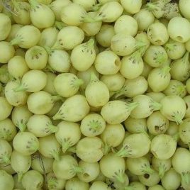 mahua oil