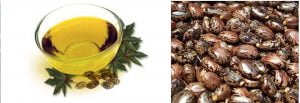 Castor Oil Benefits