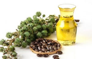 Castor Oil