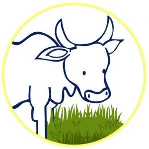 Gheestore Cow Logo